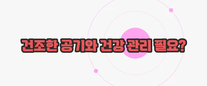 코피가 자주나는 이유 이제 하나씩 확인해보죠