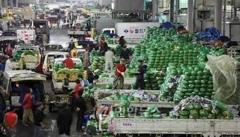 가락동 농산물 경매시세 실시간 확인 완벽 농산물 정보_33