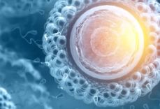 Basophil 수치
