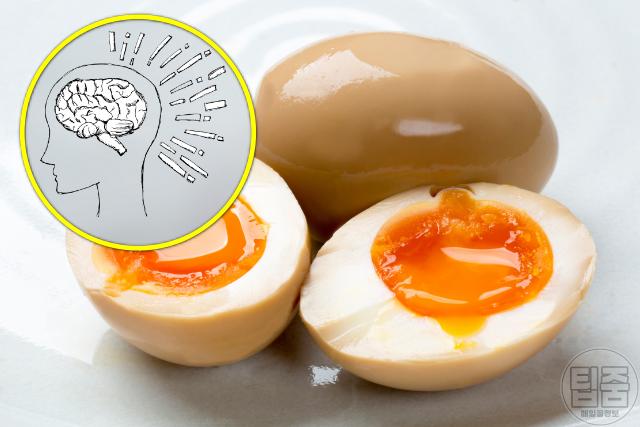 춘곤증 극복 좋은 음식 달걀