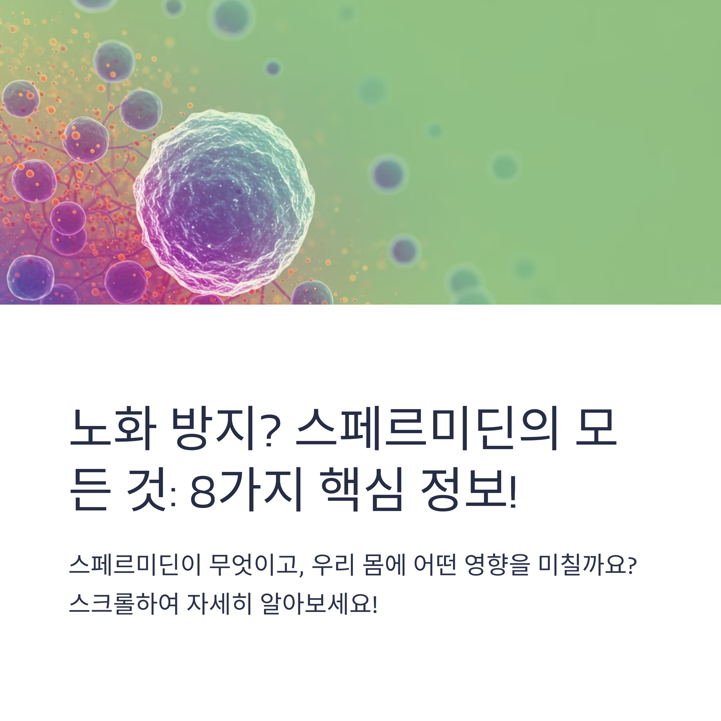 효모 스페르미딘 영양제 효능 역할 섭취량 부작용