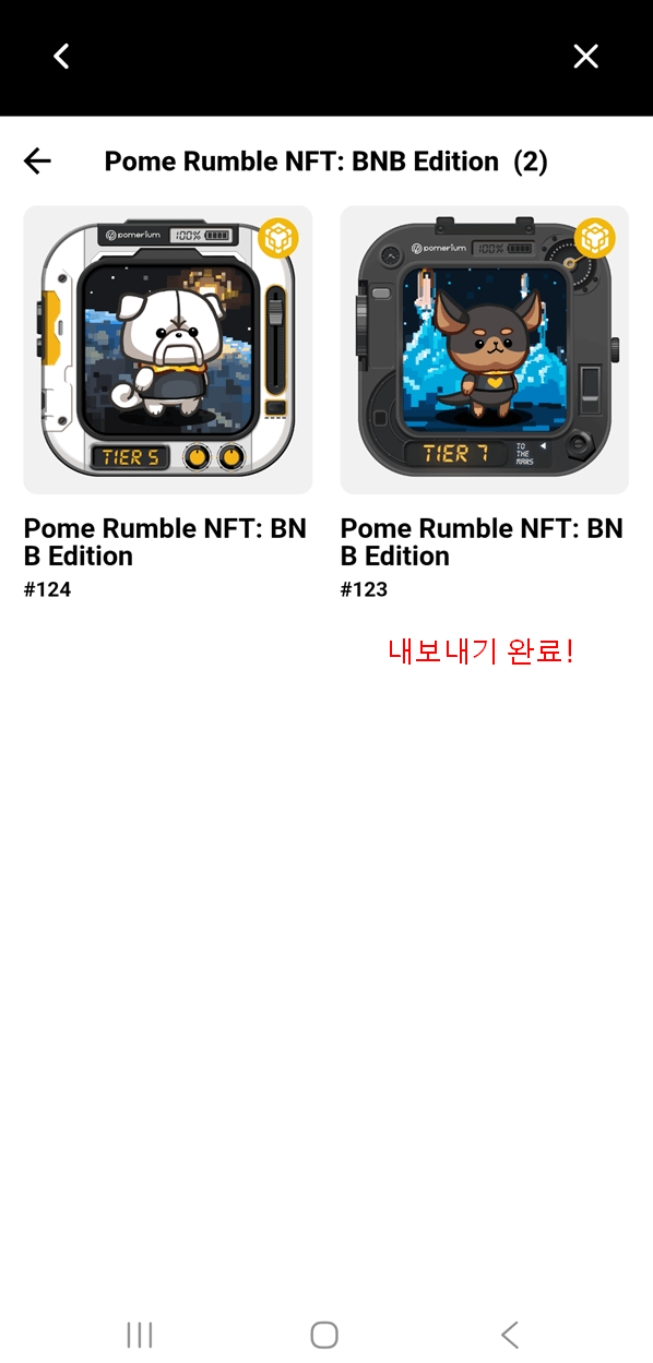 포메럼블 NFT 내보내기9