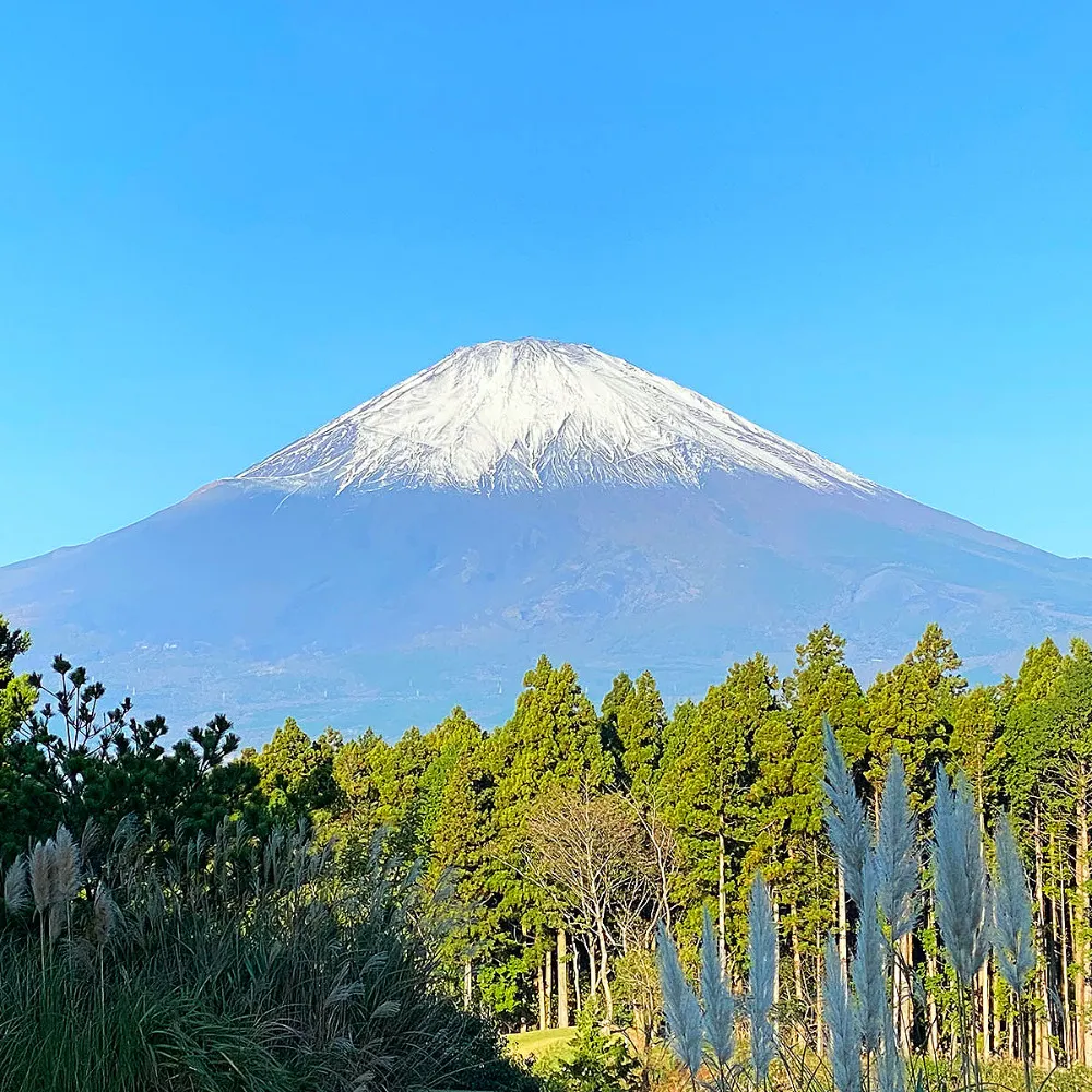 일본 시즈오카 여행 렌터카 이용하기 대여 반납 주유 방법 정리_1