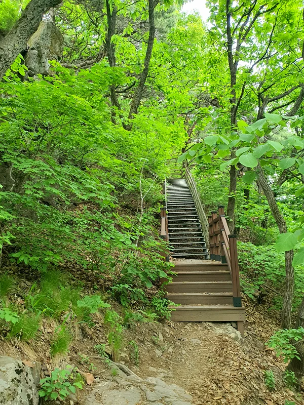 산 계단