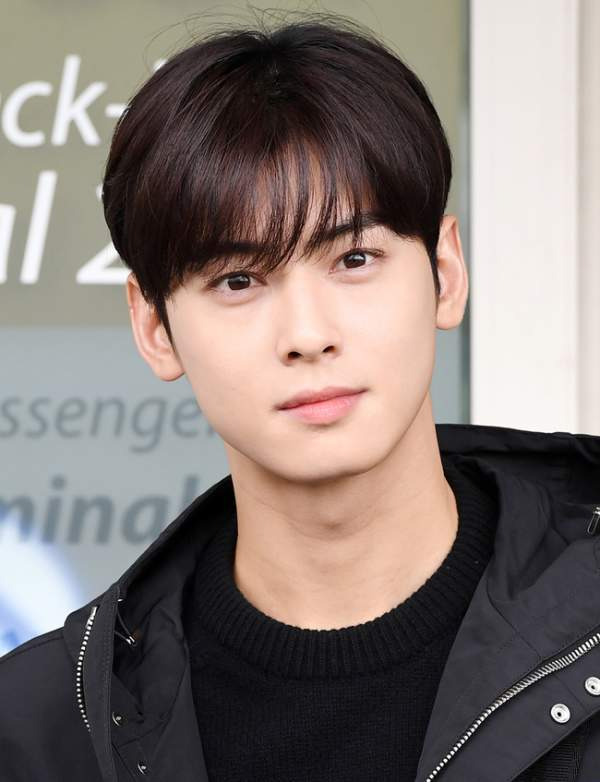 차은우 130억 추징금 폭탄 터진 진짜 이유, 경기 강화도 1인 기획사 편법 감면 논란과 국세청 세무조사 핵심 총정리