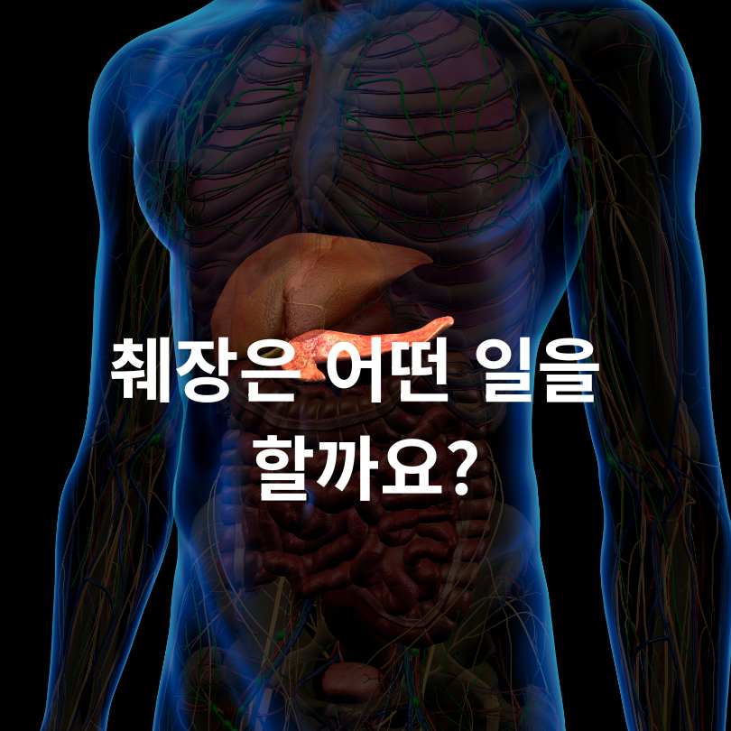췌장에 좋은 음식과 나쁜 음식 총정리