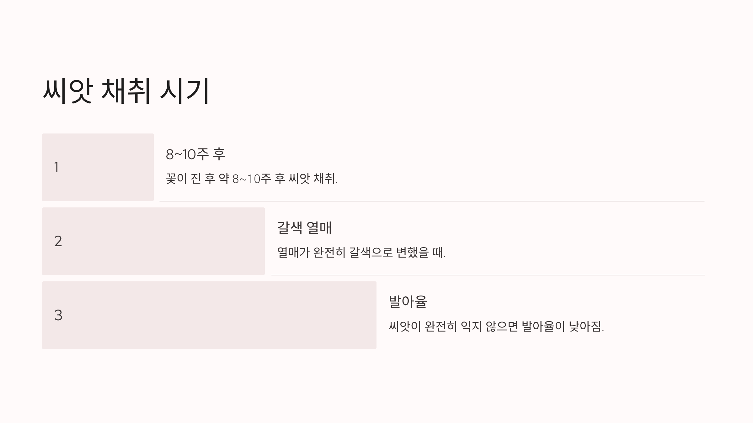 접시꽃 사진입니다.