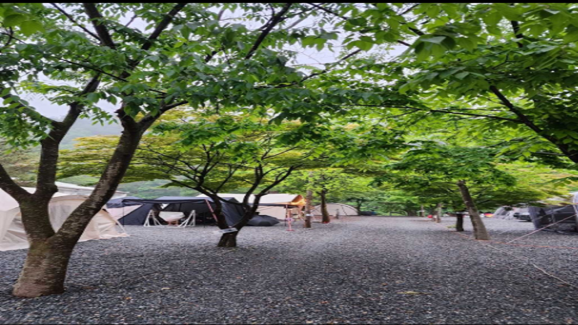 영월군 두산 분교 캠핑장 예약 바로가기