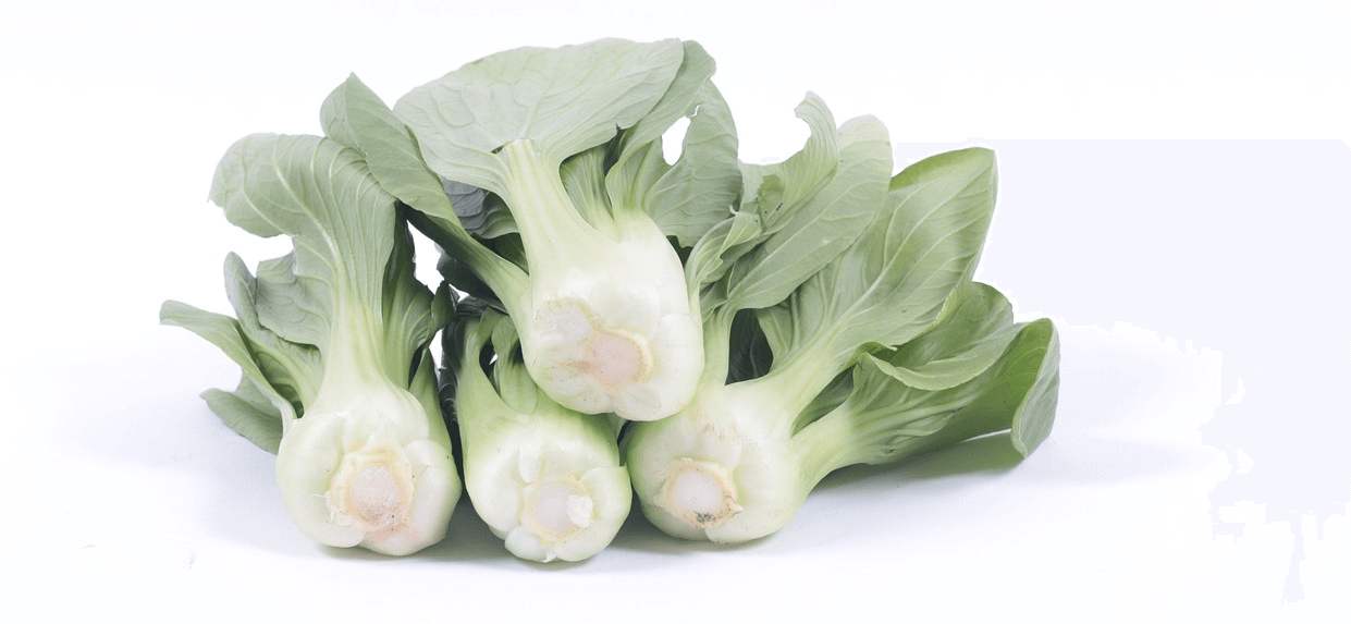 청경채 사진 - 11