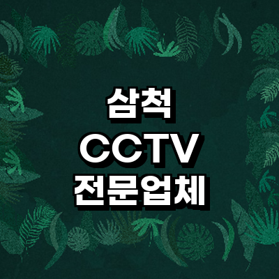 삼척시 cctv