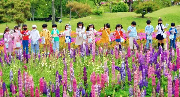 보고 먹고 즐기고 3GO 함평 나비축제 함평만 낙조 산낙지 직판장 여행 추천 전남 함평