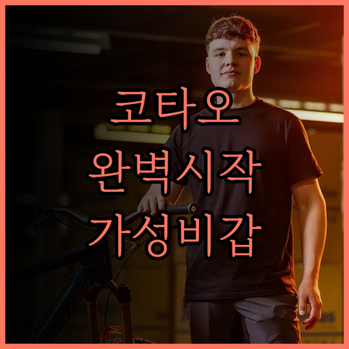 인피니티 게스트하우스 후기.. 코타오