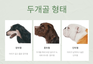 안녕soni