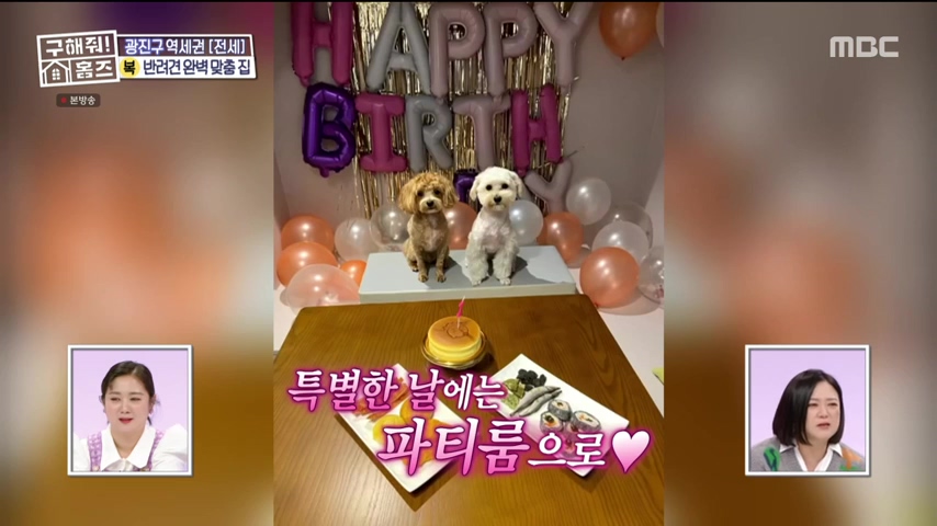 구해줘홈즈 댕댕하우스 동물병원 인접 서울시 광진구 중곡동 전세 매매 매물 가격 및 구조 인테리어 리모델링 최종선택 더보이즈 영훈 현재 소개