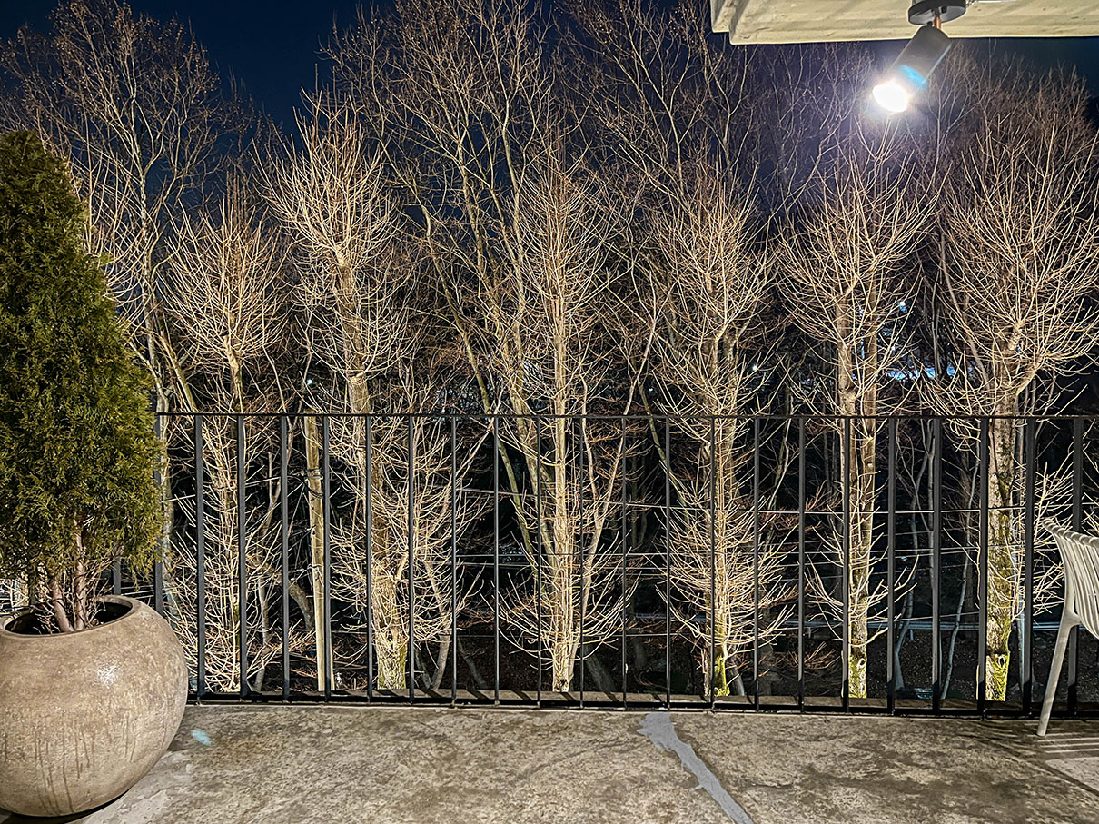 대구 베르겐 에스프레소 바 별관 3층 테라스