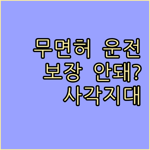 운전자보험 '사각지대' : 무면허 운..