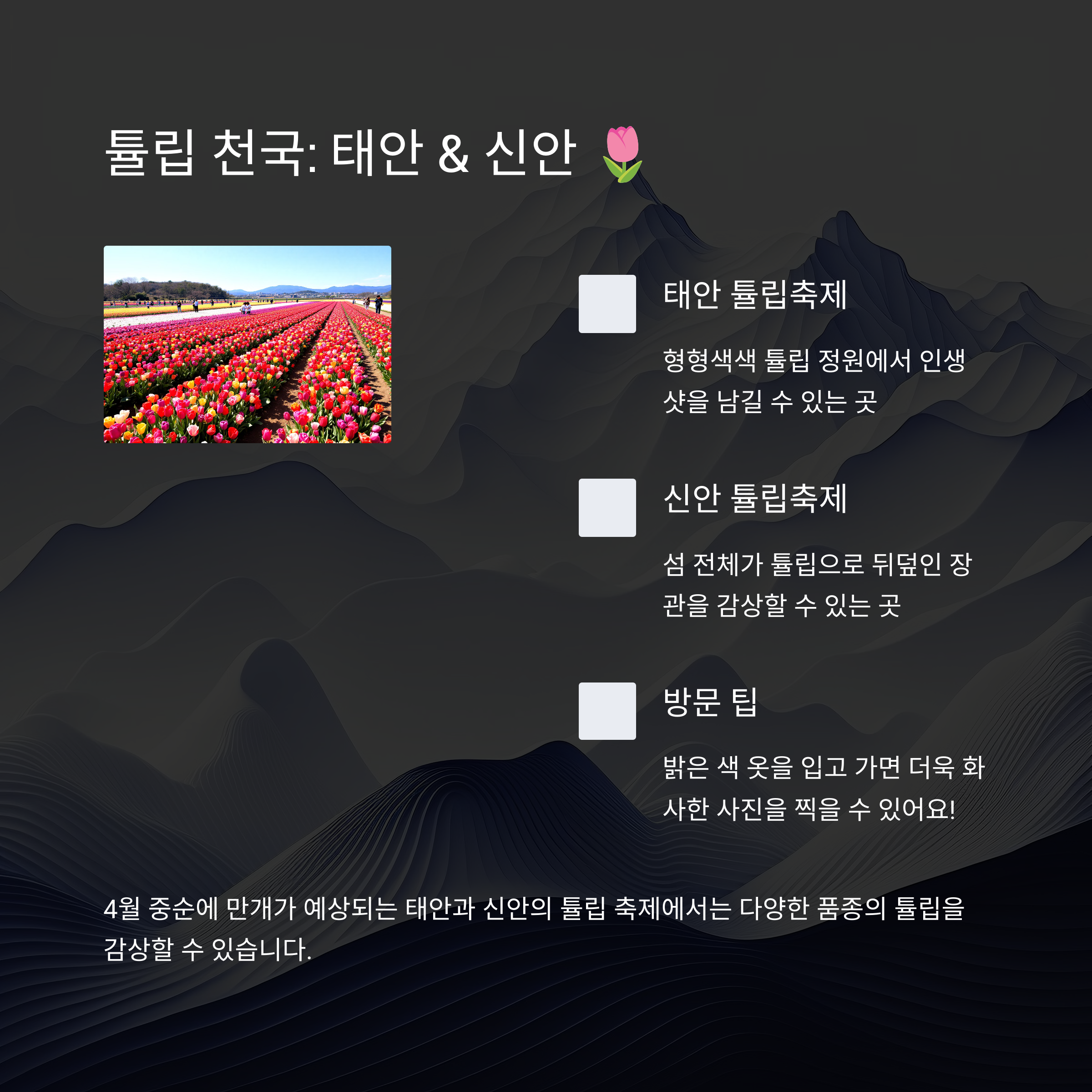 2025년 4월에 가볼 만한 봄꽃 축제 일정 안내 