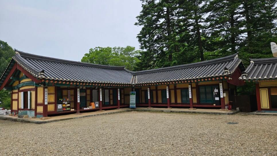 금산 보석사 : 1,100년 은행나무와 전나무 숲길이 주는 위로