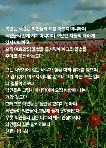 시편 1편 설교 아이디어 묵상 말씀 준비_28