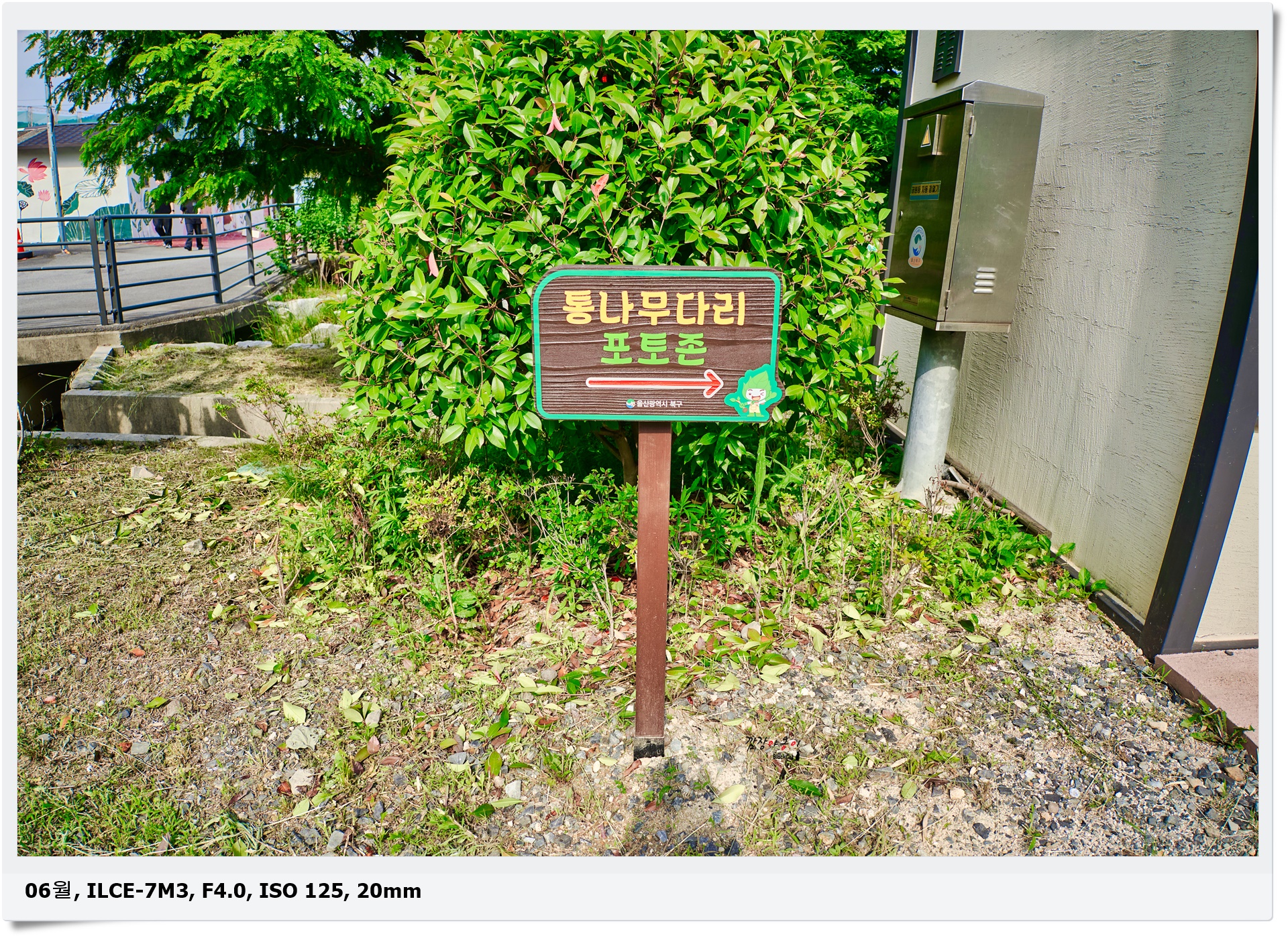 연암정원 화장실 앞 통나무다리 포토존 이정표