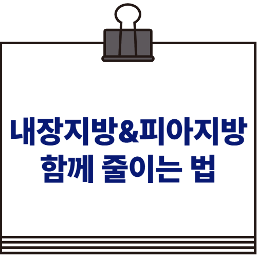 여성 피하지방 &amp; 내장지방