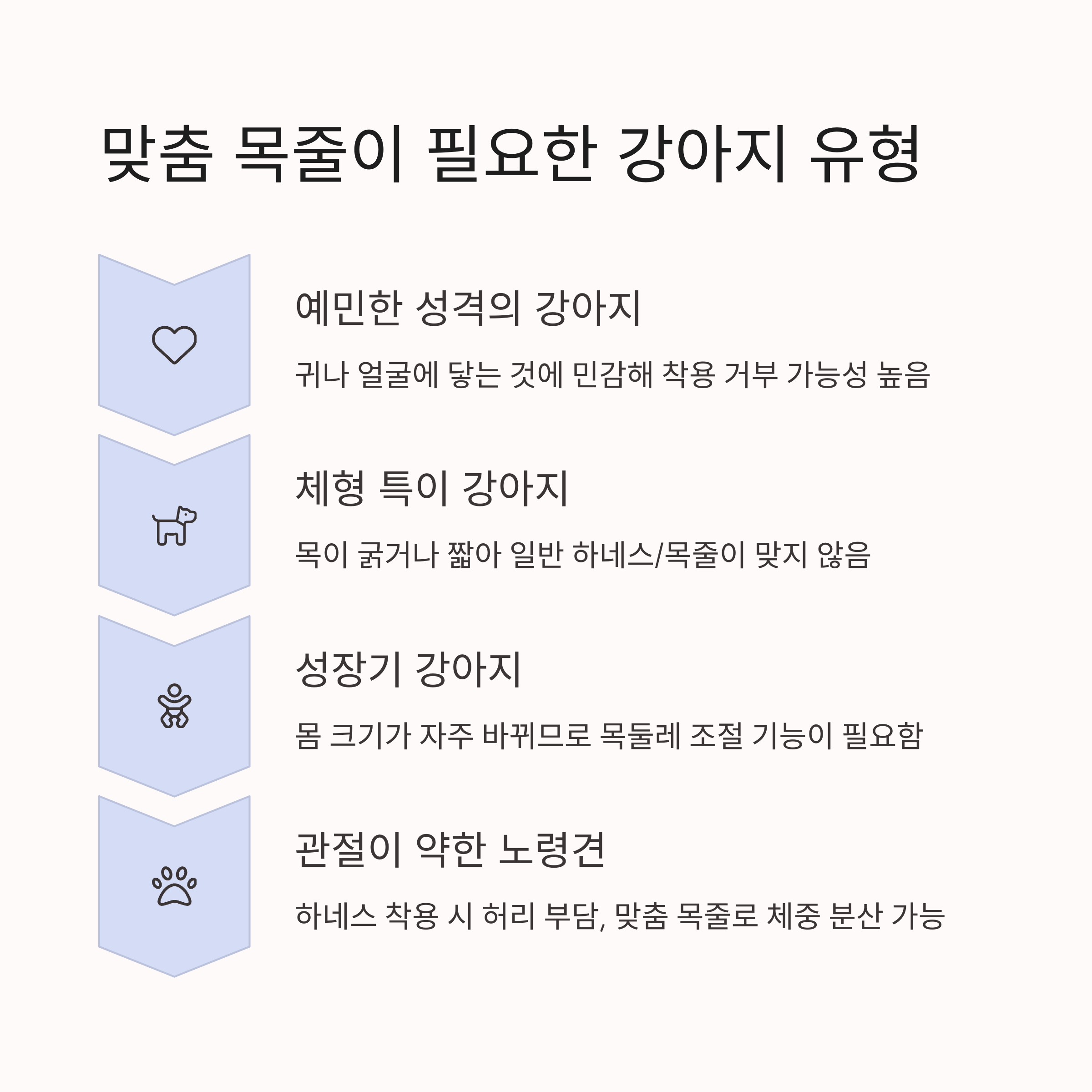 맞춤 목줄이 필요한 강아지 유형