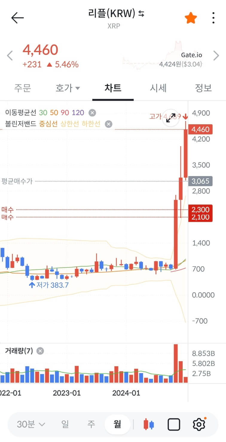 리플 코인 떡상