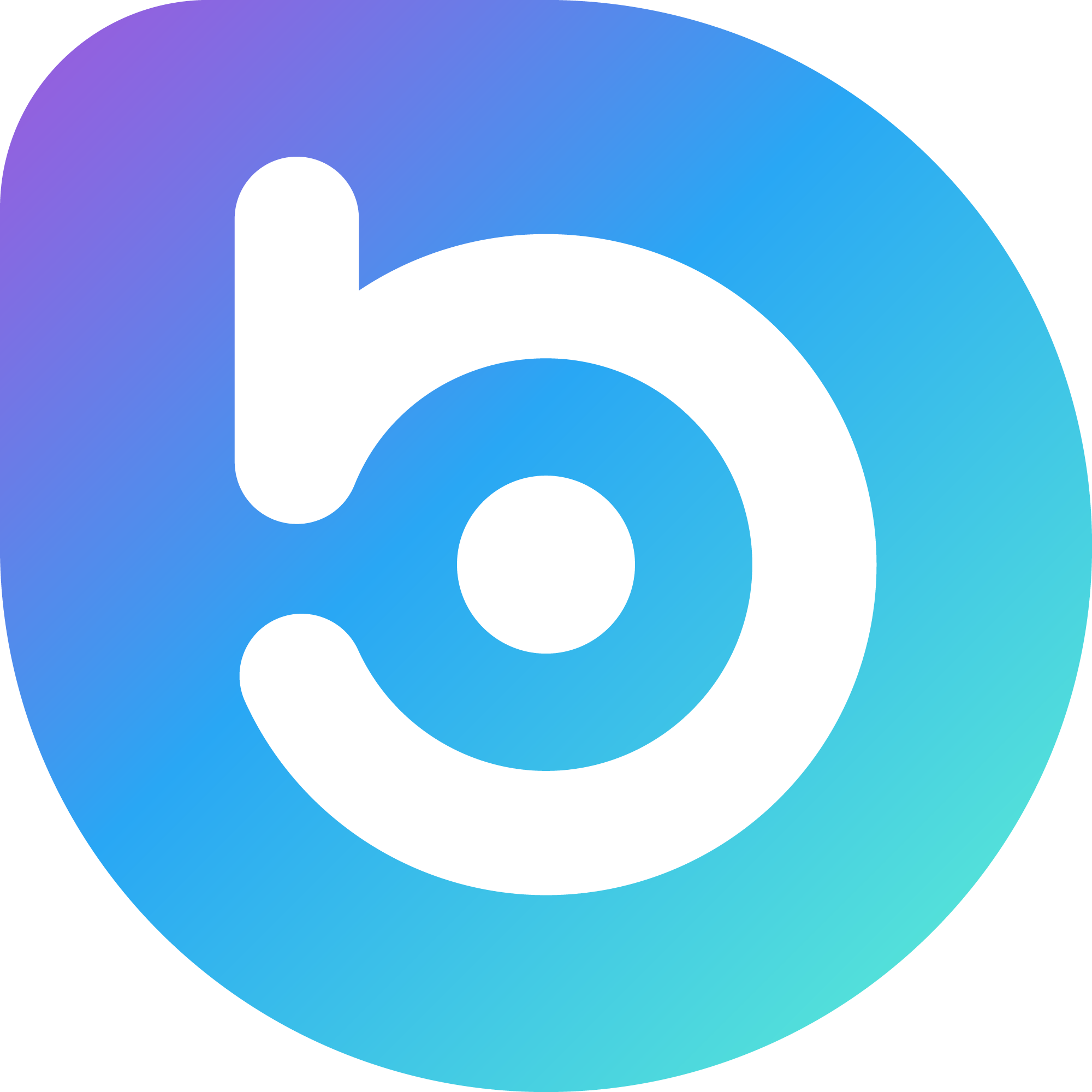 Boro Logo