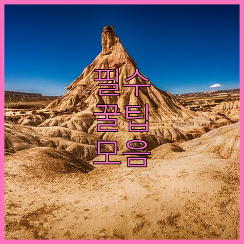 대구 중구 대형폐기물 수수료 확인부터..