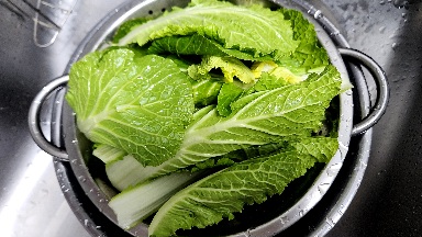 봄동 물빼기