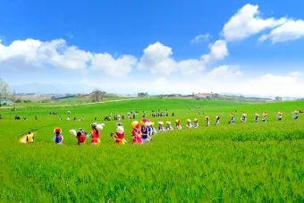 고창 청보리밭 축제 방문자 혜택_38