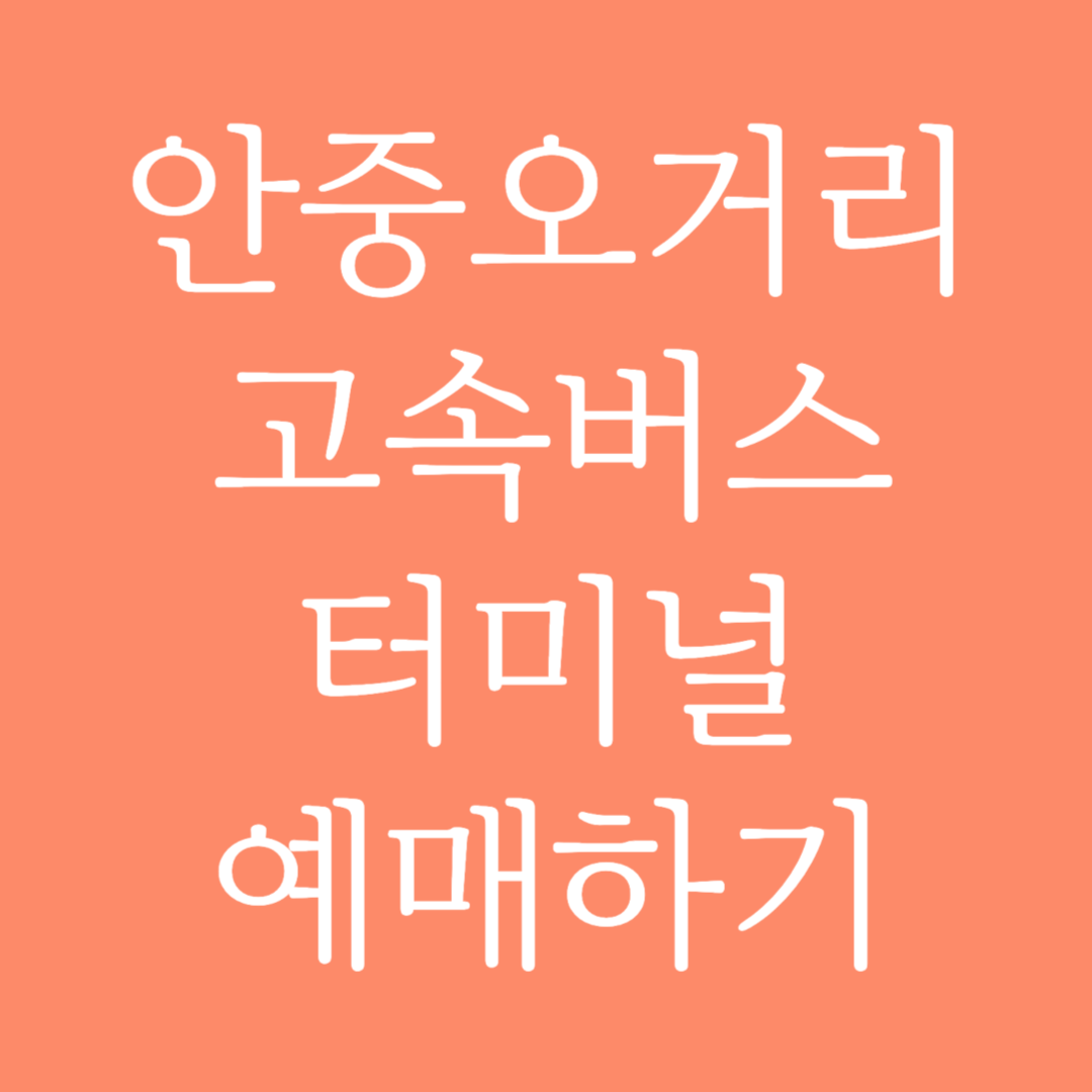 안중오거리 실시간 고속버스터미널 시간표 조회 및 예매하기