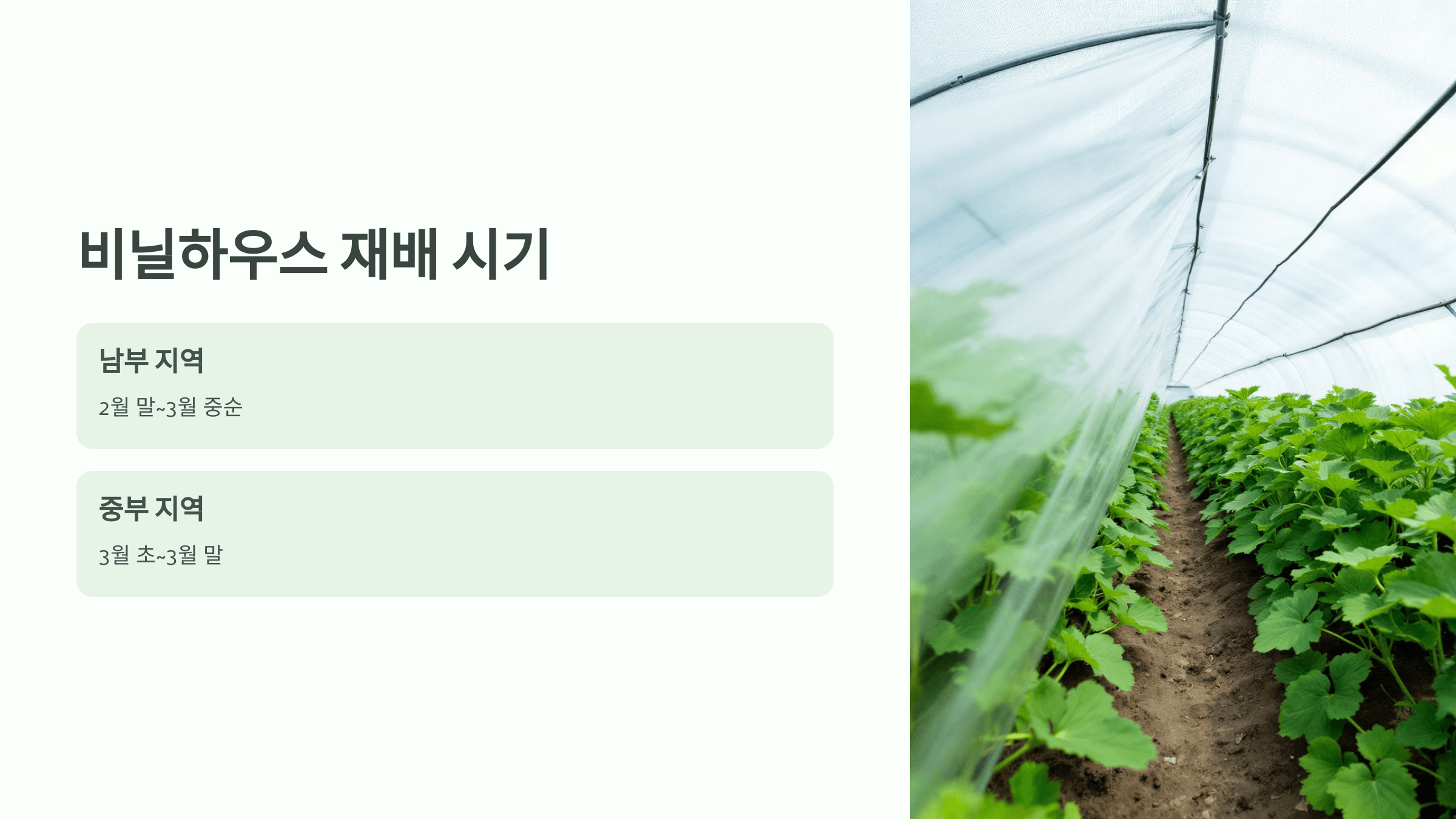 수박 사진입니다.