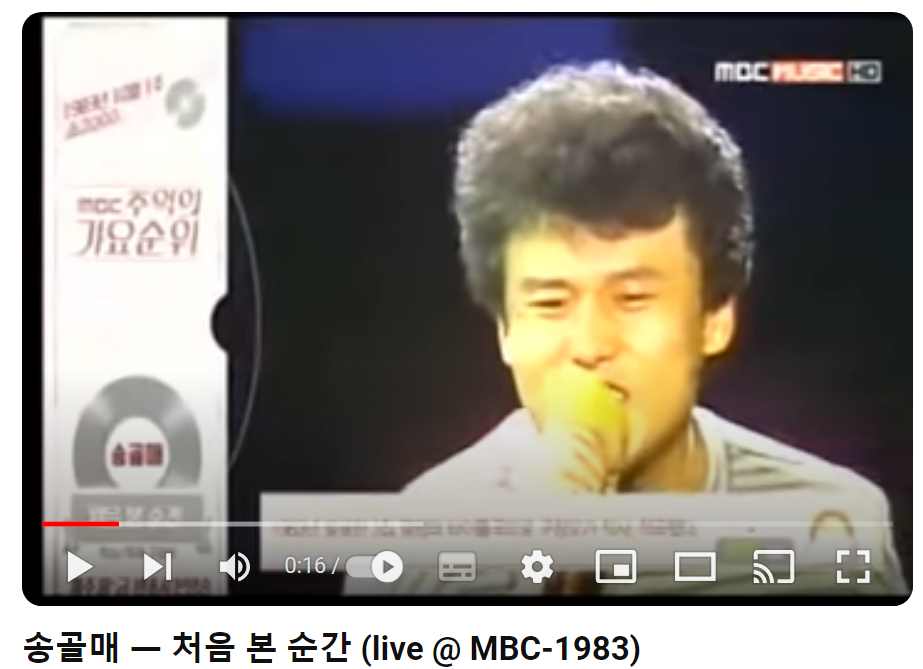 송골매-처음-본-순간