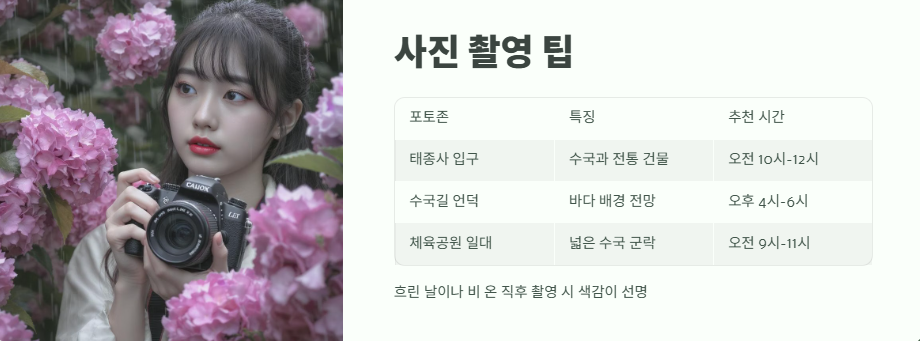 태종대 수국축제 완전 꿀팁 10