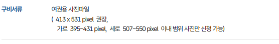 여권 사진 규격