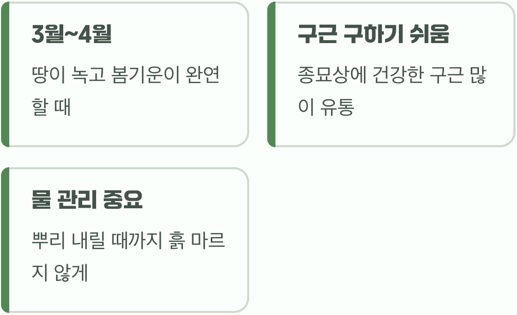 놓쳤다면 괜찮아, 봄 심기 (3월~4월)