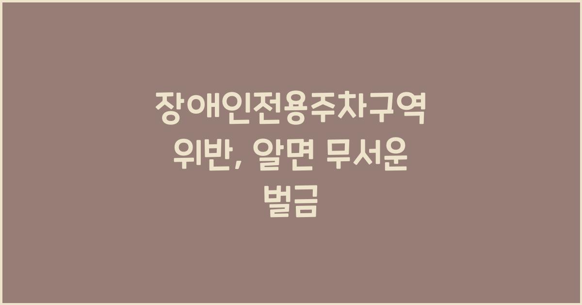 장애인전용주차구역 위반
