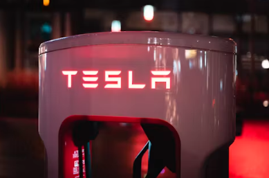 테슬라 모델y 주니퍼 가격