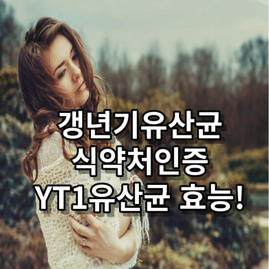 갱년기유산균, 여자유산균YT1
