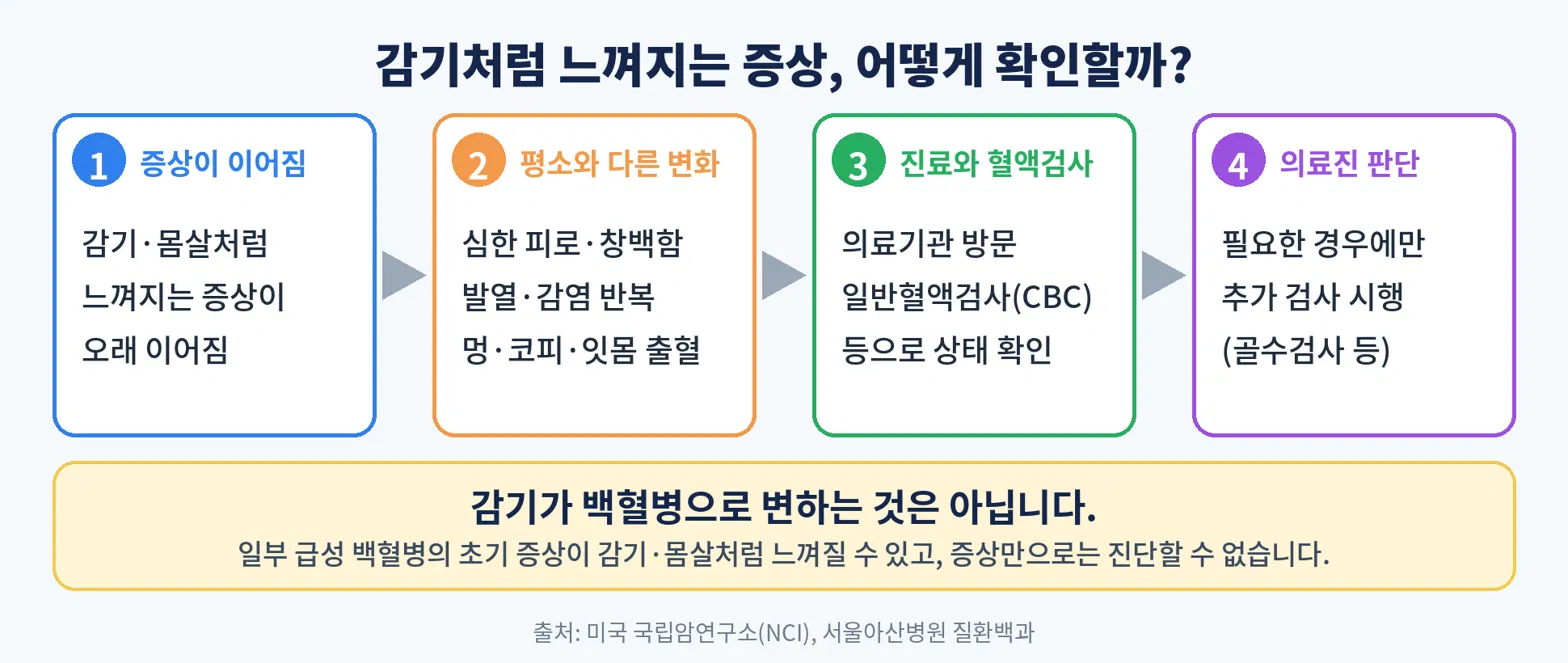 감기처럼 느껴지는 증상이 이어질 때 진료와 혈액검사로 확인하는 과정을 정리한 인포그래픽