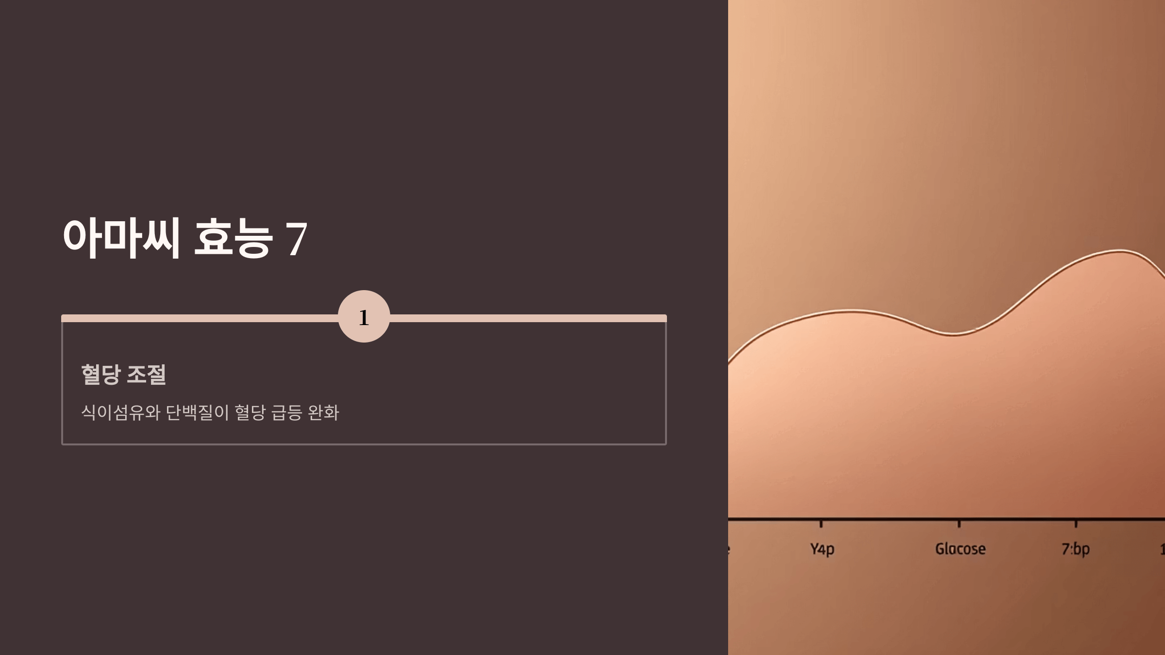 아마씨 사진입니다.