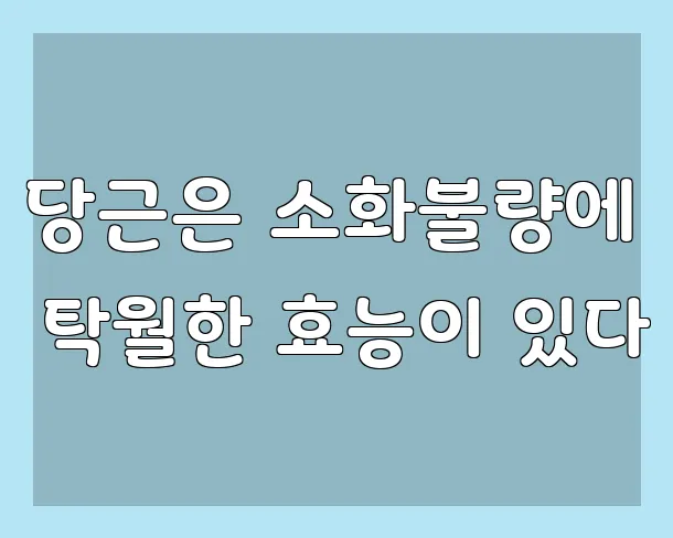 당근은 소화불량에 탁월한 효능이 있다