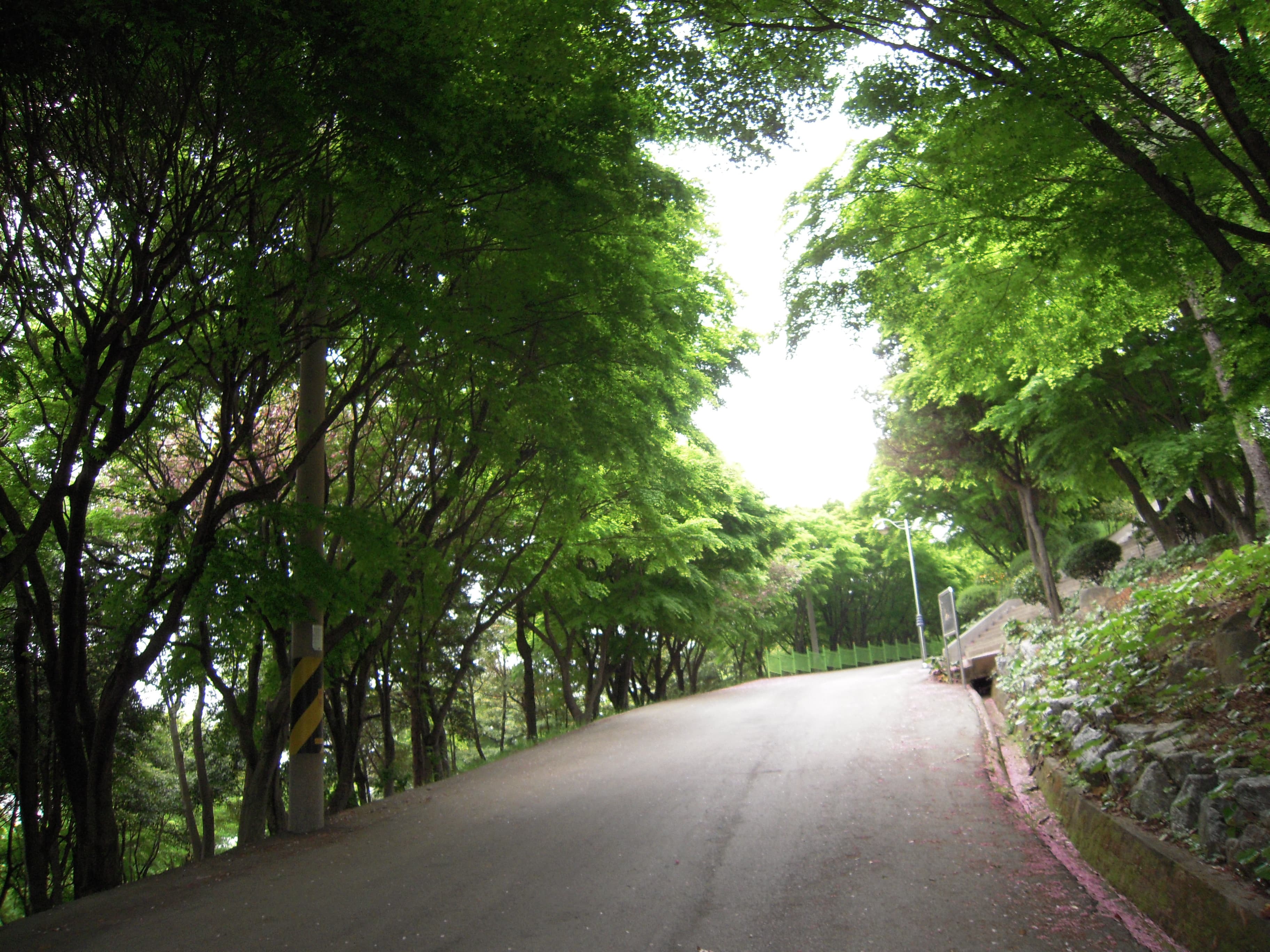 여수 밤바다&amp;#44; 낭만을 걷다 &ndash; 감성 가득 1박 2일 여행 코스