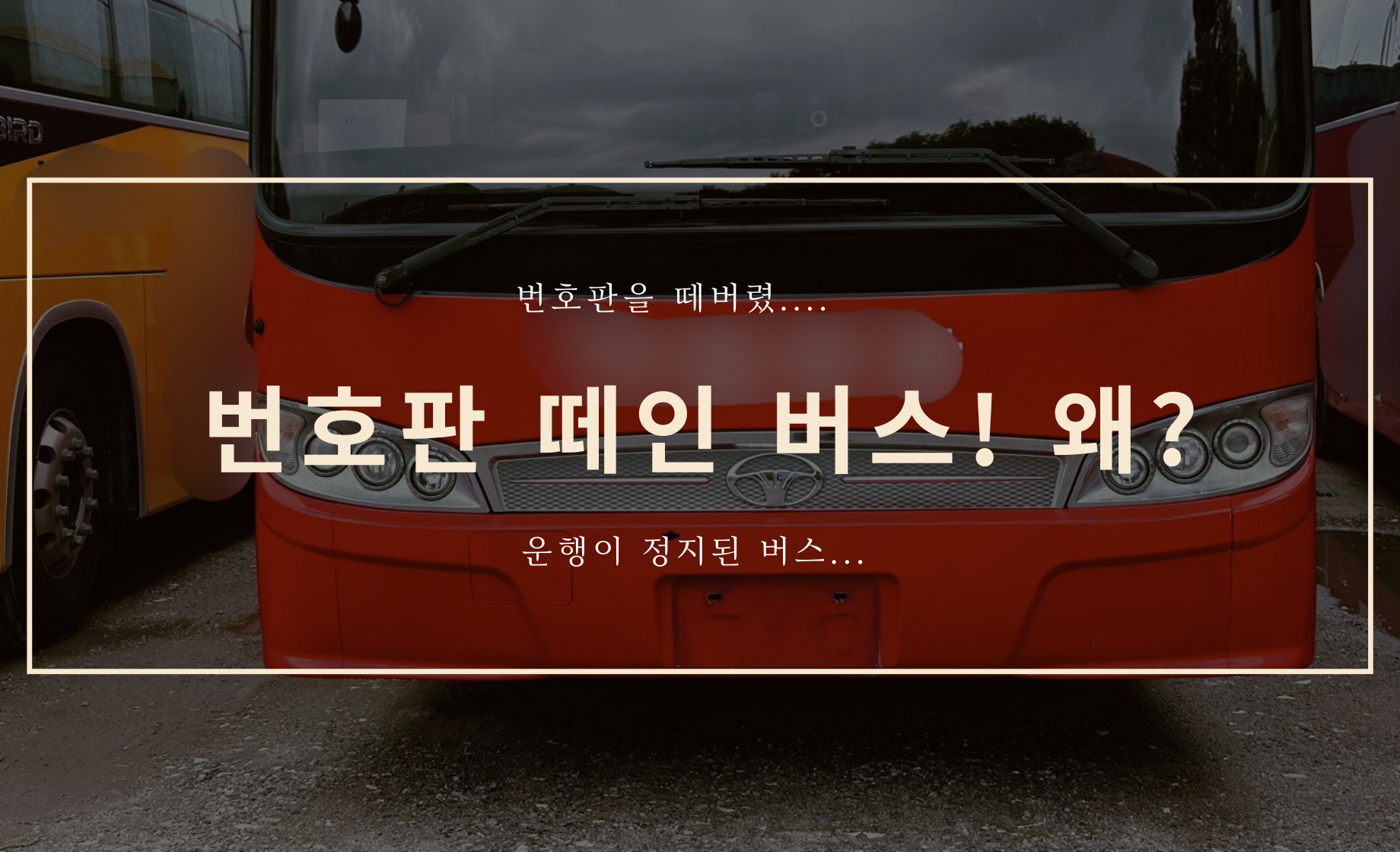 번호판 떼인 버스... 왜??