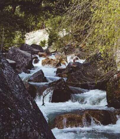 맑은-물이-흐르는-계곡