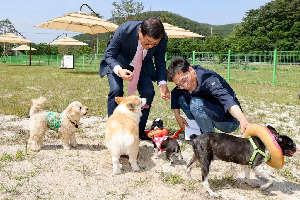 합천 반려동물 테마파크