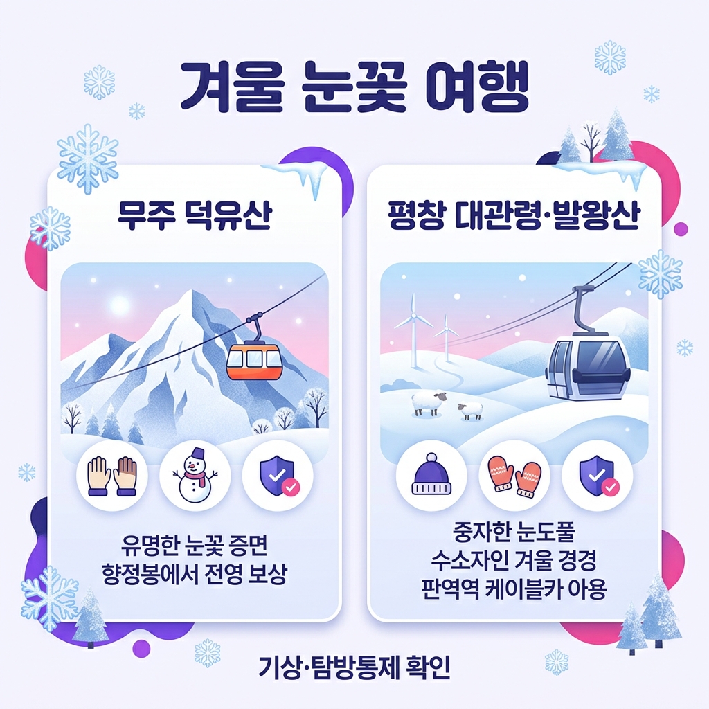 겨울 국내 여행지 눈꽃 설경 추천
