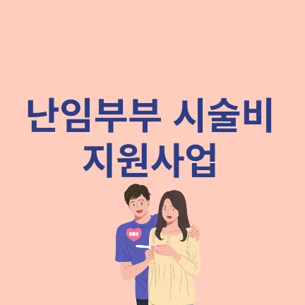 난임부부 시술비 지원사업