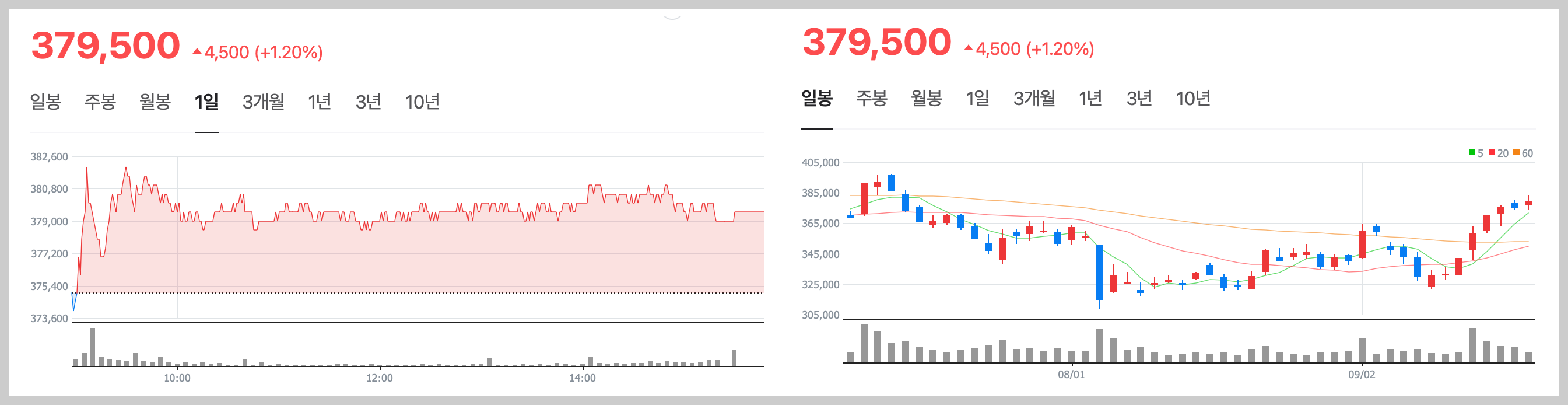 포스코홀딩스 주가 차트